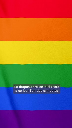 🏳️‍🌈 Que signifient les couleurs du drapeau LGBT ? Explications 🌈 | GEO France