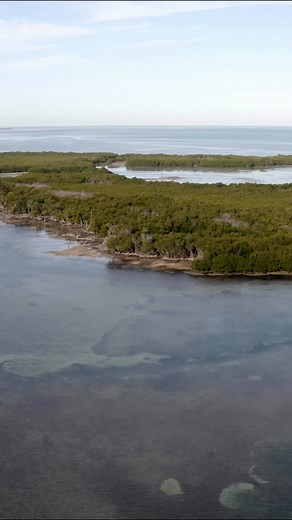 Rush and Capt. Jared Cyr head out into the shallow waters of the Florida Keys! 🎥: Local Knowledge S9:E7 “Sight Fishing Barracudas & Bonefish” is Available on YouTube, Waypoint TV & Streaming apps | Local Knowledge