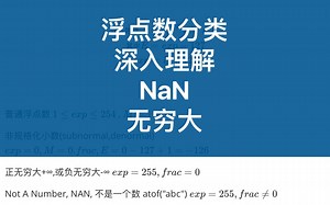 浮点数解惑与避坑指南(6)浮点数分类详解