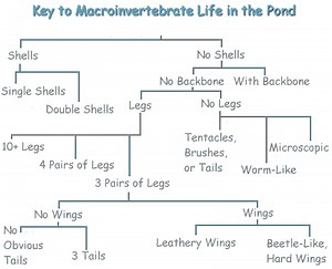 2.3.1 Construct Simple Key