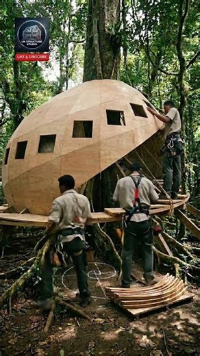 Building a Spherical Seed Pod Tree-house in the Jungle #ukstructurestudio #dreamhome #woodhome
