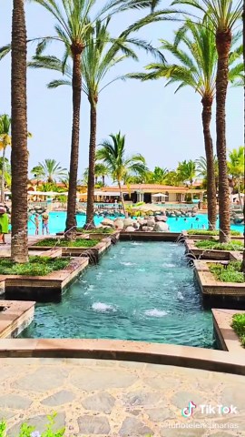 Alojamiento perfecto en Gran Canaria: Palm Oasis Maspalomas