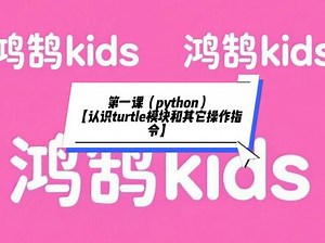 turtle demo怎么用