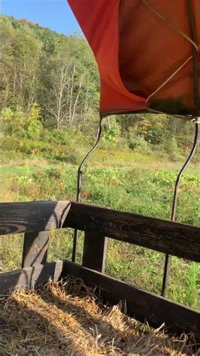 Rounding the Bend in a Pumpkin Patch Hayride
