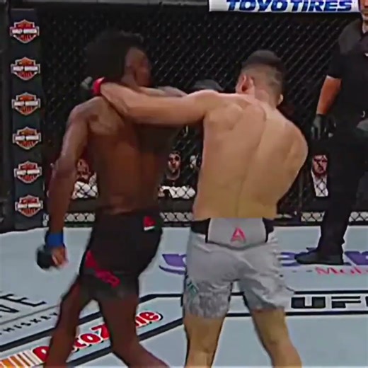 Brutal MMA Knockouts (MUST SEE)