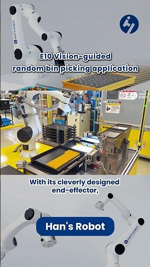 Discover Han's Robot E10 Cobot's vision-guided random sorting technology