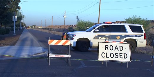 Man critically hurt after hit-and-run in south Phoenix