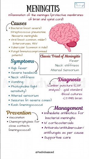Meningitis: Causes, Symptoms, Diagnosis & Prevention