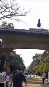 Maya Devi Mandir | road vlogs | part 3 short | gate number 5