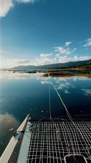 Elusive Grunter | Fly Fishing Moments