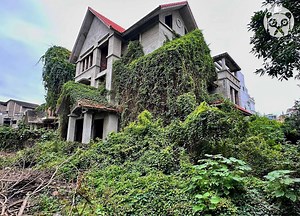 Removing grass from abandoned villa owned by mafia | Bored Panda Art