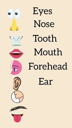 #facevocabulary #vocabulary #englishteacher #shareyourenglish #foryou #learnenglish #vocabularywithpictures