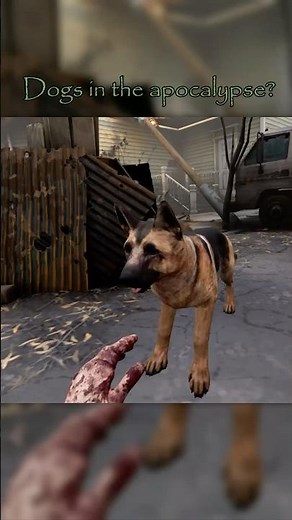 The Dog Mod. | TWD Saints and Sinners Retribution