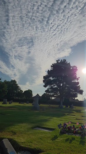 Grave Digger on TikTok