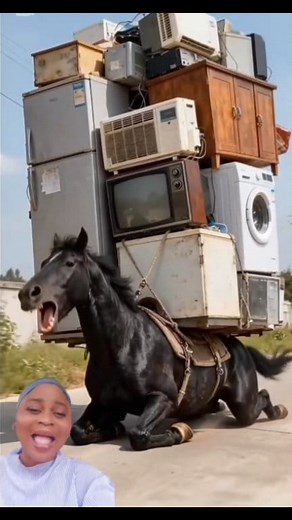 5.1K views · 26 reactions | “When life keeps loading problems on you, but you’re still trying to move forward ” #KeepPushing #MondayMood #LifeNoEasy | Bilikisu Seun Aro | Facebook