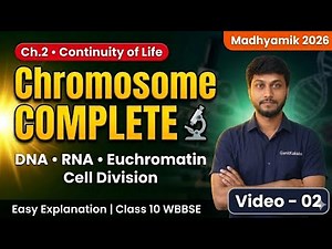 DNA & RNA Structure Complete | Chromosome Explained | WBBSE Class 10 Life Science | Madhyamik 2026