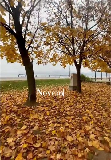 🍂 Golubac - jesenji raj! Zlatne nijanse na svakom koraku, mirnoća Dunava i spokojni pejzaži koji govore jezik tišine 🍂🧡 #golubac #golubactourism #fall #visiteastserbia