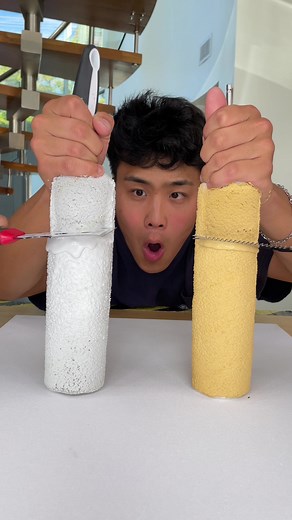 TESTING Cheap Vs Expensive PAINT ROLLER CLEANERS!
