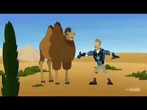 Wild Kratts: Backpack the Camel - Search for Camels