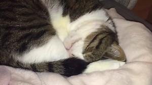 23K views · 2.5K reactions | Wait for it... | Monty | Facebook