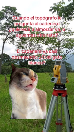 Humor en la Topografía: Almuerzo y Gatos Blancos