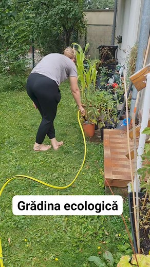 Grădina ecologică | Doru Zorilă