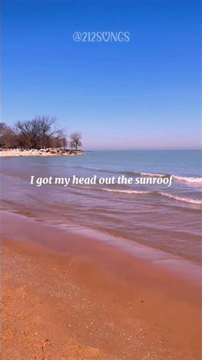 Nicky Youre, dazy - Sunroof | Lyrics | Aesthetic | English Songs
