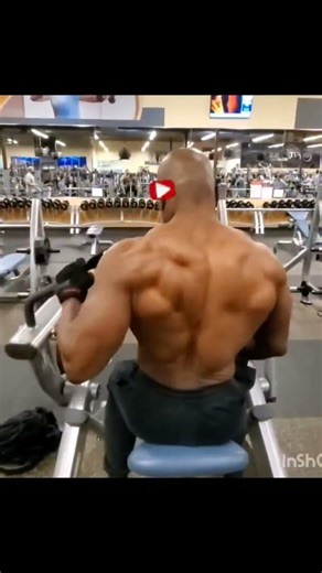 Fit Over 60 Build a Wide Thicker Back | One Arm Seated Machine Hammer Strength Row Legacy Shift