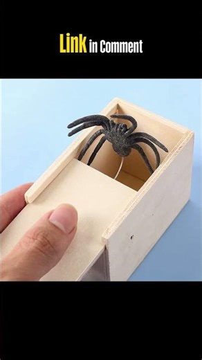 Don’t Open This Box! 😱 Hidden Spider Prank Gone Wrong 🕷️ #shorts