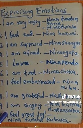 Beginner's Guide to Learning Swahili Language