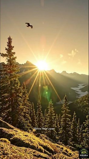 Amazing Mountain Sunrise Time Lapse | Golden Morning Sky #shorts #sunrise #mountains #timelapse