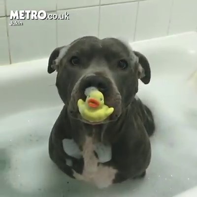 Romantic bath for two 😍 | Metro
