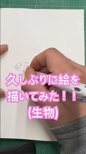 久しぶりに絵を描いてみた！！(生物)#生き物#生き物の不思議#生き物系#生き物系youtuber#イラスト#オリジナル