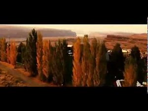 21 & Over festival scene