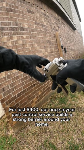 Effective Preventive Pest Control in Houston