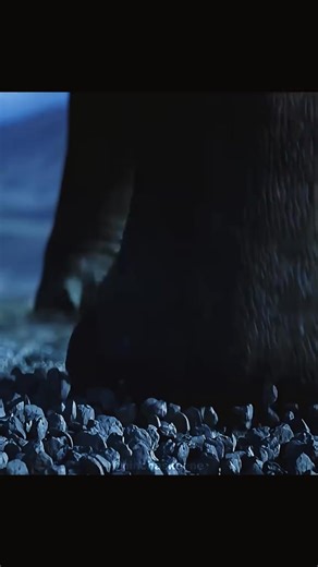 How did dinosaurs use positioning functions #animals #foryou #dinosaurs #dinosaur | Desk Setup | Facebook