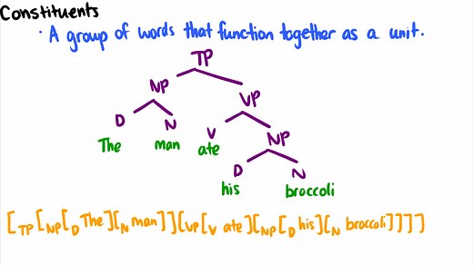 【语言学】Syntax【句法学】