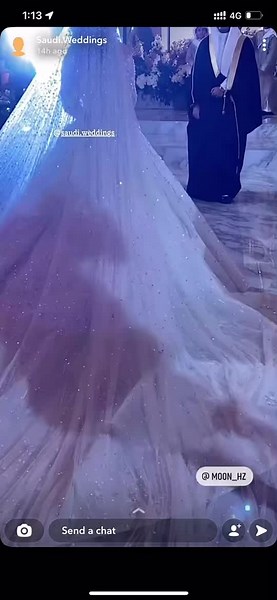 Stunning Saudi Wedding Celebration with Bride and Groom