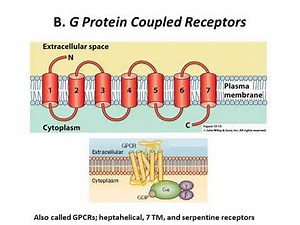 Signal Transduction (part 1)
