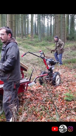 Spadlý buk Těžba dřeva s Husqvarna 445, malotraktorem Vari Honda GCVx 200 short 4/9