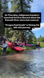 3.2K views · 4.8K reactions | A Field Guide crew was at the...