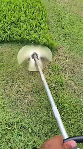 Cut grass in the backyard using a lawn mower to make it look neat and tidy