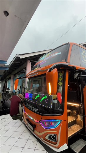 Miniature Bus Collection Showcase