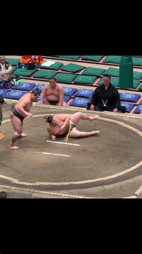 寒風山VS隆の龍！2026年大相撲5月場所