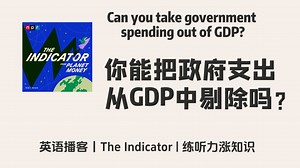 【The Indicator】英语播客｜你能把政府支出从GDP中剔除吗？ | 金融商业经济 NPR Podcast_哔哩哔哩_bilibili