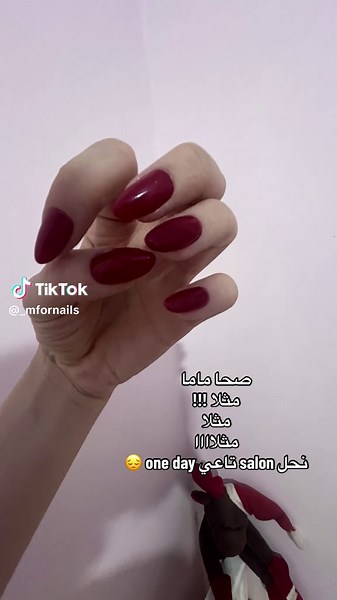 Exploring Algeria's Unique Culture Through Conversations