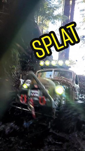 Got Splashed? #mud #fyp #4x4