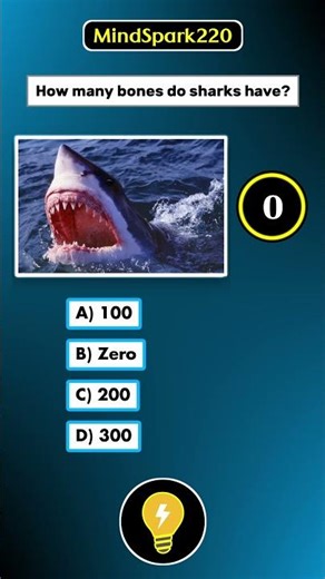 🦈Shark Skeleton Revealed — Not What You Think (Quiz)🦈 #shark #challenge #shorts