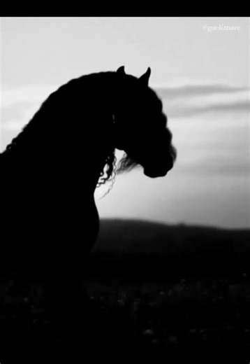 Shy, head bowed #quotes #history