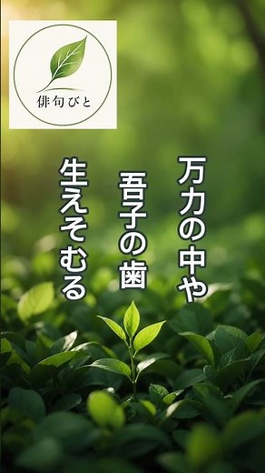 【今日は小満】「少し満ちる」と書く理由、知ってる？｜二十四節気と俳句 #俳句 #575 #二十四節気 #小満 #川柳 #俳句のある暮らし #季語 #日本語の美しさ #日本の四季